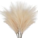 ZIFTY 7-Pcs 3.1FT Artificial Pampas Grass Large Tall Fluffy Faux Bulrush Reed Grass for Vase Filler Living Room Kitchen Boho Decor (Beige)