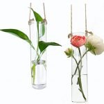 Ivolador 2PCS Cylinder Hanging Glass Flower Plants Vase Terrarium Container for Hydroponic Plants Home Garden Décor