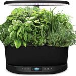 AeroGarden Bounty - Indoor Garden with LED Grow Light, WiFi and Alexa Compatible, Black